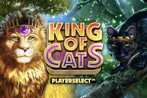 Slot King Of Cats Megaways